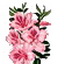 Pink flowers. Jane Eyre by Charlotte Bronte Chapter 1.