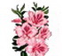 Pink flower for a raunchy women and steamy girls. Jane Eyre by Charlotte Bronte Chapter 34.