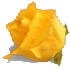 A nice yellow flower. Jane Eyre by Charlotte Bronte  Chapter 11.